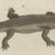 Bertuch, Crocodile with a Study of Its Skull, 1809, Print For Sale - Image 6 of 12