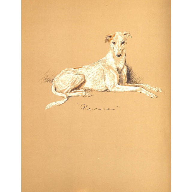 "Dogs Rough and Smooth" Book 1973 Dawson, Lucy For Sale - Image 10 of 12