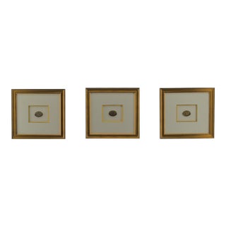 Set of 3 Gilt Federal Antique Drawer Pulls, Framed For Sale