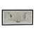 Natural Curiosities “St. Germain Pear-Tree” Oversized Botanical Print, For Sale