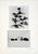 Contemporary Set of 12 Antique Botanical Photogravure Plates From the First Edition of Nature's Aid to Design (1907) For Sale - Image 3 of 13