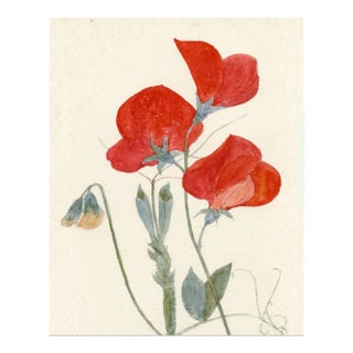 Hubbard Flower, Small: 7754 Artwork, Unframed Artwork For Sale