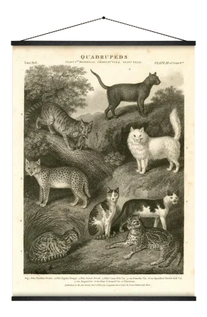 Eight Cats Wall Hanging