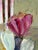 Soicher Marin Peonies & Tulips Giclee Framed For Sale - Image 10 of 11