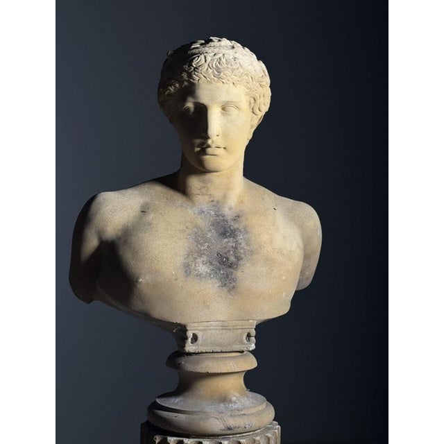 Unknown, Antinous Bust on pedestal, 20th Century, Stone For Sale - Image 10 of 18