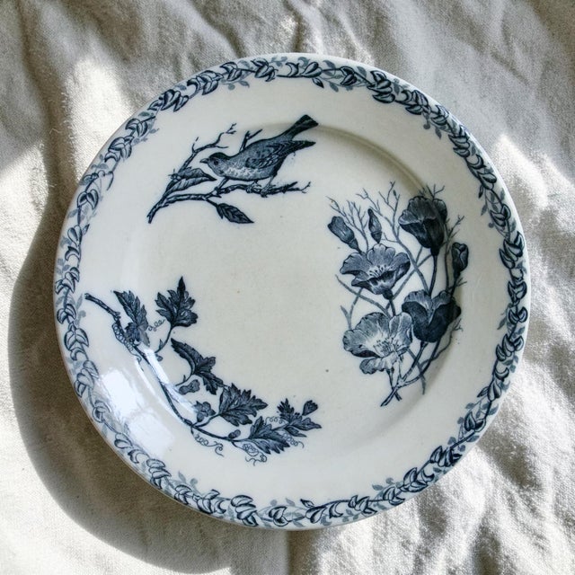French Plates with Birds by Onnaing, 1875, Set of 6 For Sale - Image 6 of 12