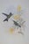 Victorian 19th Century Bird Print - One of 24 For Sale - Image 3 of 5