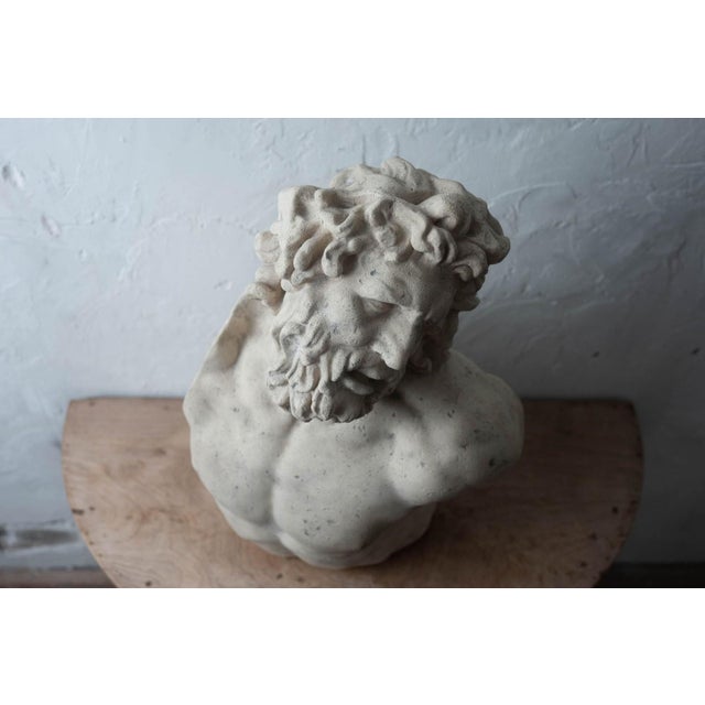 Bust of Laocoön, After the Antique, 20th Century For Sale - Image 10 of 12