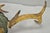 Antique Victorian Taxidermy Whitetail Deer Antler Wall Mount Metal Shield Plaque For Sale - Image 13 of 15