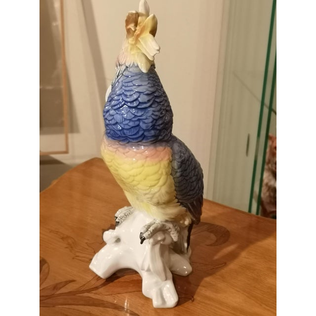 Blue Blue Porcelain Parrot Figurine by Karl Ens, Saxe, 19th Century For Sale - Image 8 of 12