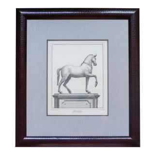 Herculaneum Equestrian Horse Print After Carlo Nolli 1970s Framed 1 of 2 For Sale