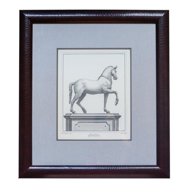 Herculaneum Equestrian Horse Print After Carlo Nolli 1970s Framed 1 of 2 For Sale