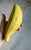 1990s Italian Glazed Ceramic Banana Sculpture (After Warhol) (After Maurizio Cattelan) For Sale - Image 5 of 18