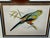 Antique Color Woodblock Prints From w.t. Greene’s “Parrots in Captivity” with Frame Matte and Validation From the Trowbridge Gallery - Set of 2 For Sale In Milwaukee - Image 6 of 9