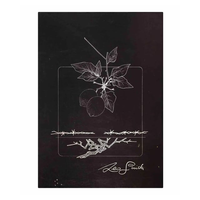 Leo Guida, Still Life, 1976, Etching For Sale