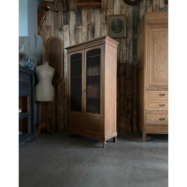 Wood Antique Library with Wire Mesh Doors, 1890s For Sale - Image 7 of 16
