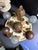 2020s Celestial Meets the Sea Shell Centerpiece-Coastal Art Sculpture For Sale - Image 5 of 5