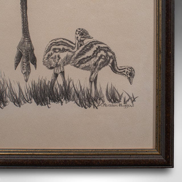 Glass Vintage Wildlife Picture Trio, Australian Interest, Framed Prints, Animal Art For Sale - Image 7 of 12