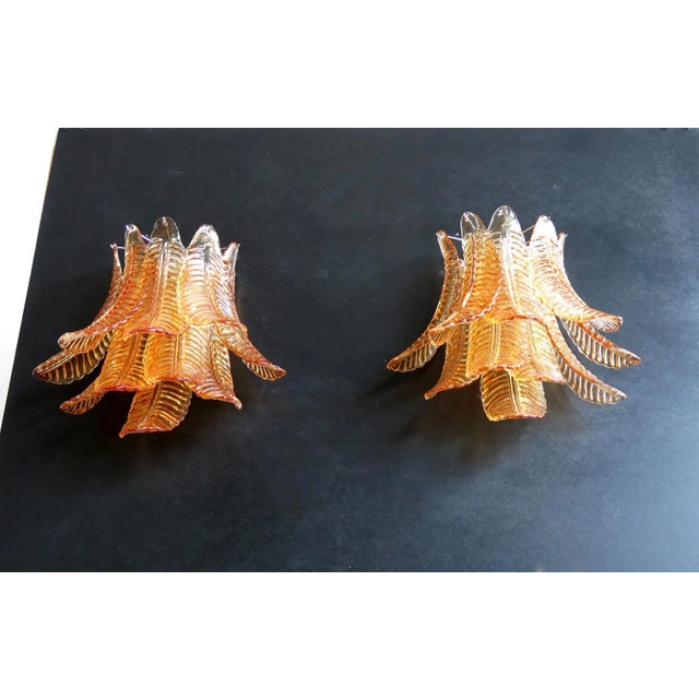 Glass Pair of Murano Six-Tier Felci Wall Sconce – 10 Amber Glasses For Sale - Image 7 of 7