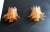 Glass Pair of Murano Six-Tier Felci Wall Sconce – 10 Amber Glasses For Sale - Image 7 of 7