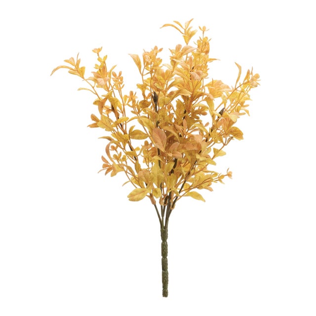 Embrace the colors of fall with this set of six Mixed Fall Foliage Bushes. Featuring warm yellow and orange tones, these...