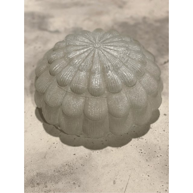 Large Frosted Flower Glass Sconce Wall Lamp Shade Globe MCM Art Deco Style For Sale In Pittsburgh - Image 6 of 6