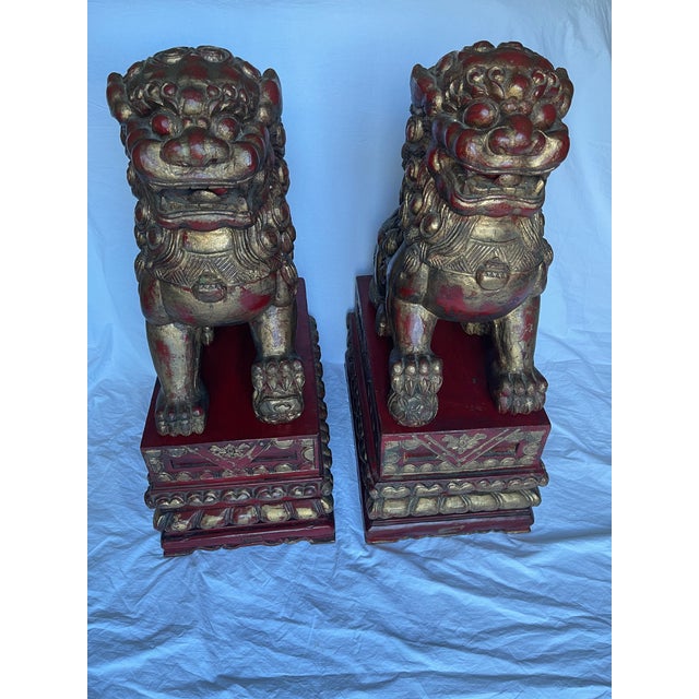 Beautiful, traditionally gilded male and female pair of Foo Lions on removable ornate pedestals that are stunning in their...