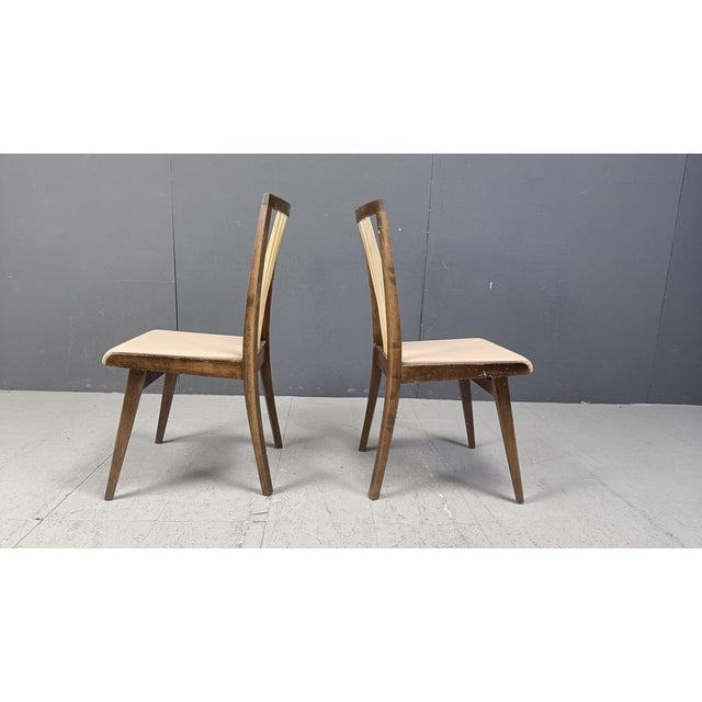 Mid-Century Italian Dining Chairs, 1950s, Set of 6 For Sale - Image 11 of 16