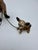1960s Vintage Chihuahua Ceramic Figurine For Sale - Image 5 of 7