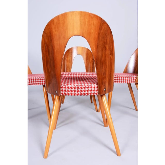 Mid-Century Modern Mid-Century Dining Chairs attributed to Antonín Šuman in Beech & Walnut, Czech, 1950s, Set of 4 For Sale - Image 3 of 11