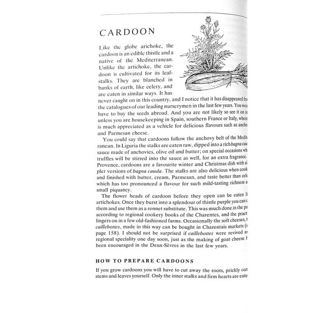 "Jane Grigson's Vegetable Book" 1978 Grigson, Jane For Sale - Image 9 of 9