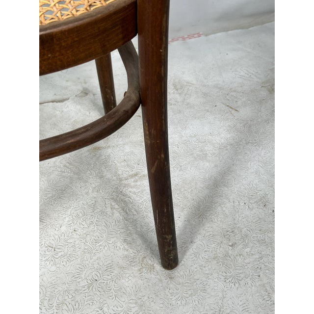 1970s Vintage Thonet Style Bentwood Armchair For Sale - Image 5 of 10