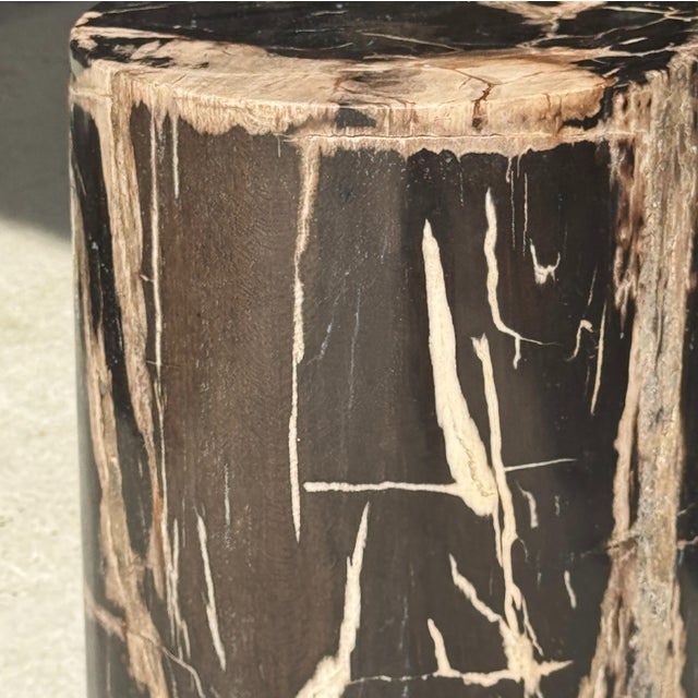 Side Table in Black Petrified Wood with Beige Striations and a Circular Arc For Sale - Image 14 of 18