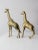 Mid 20th Century Mid Century Brass Giraffes Pair For Sale - Image 5 of 13