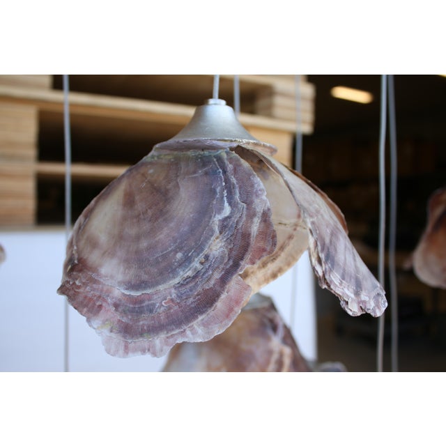 Silver Currey & Company Catrice 15 Light Linear Pendant With Shell Shades For Sale - Image 8 of 11