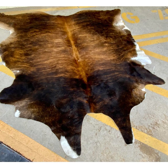 Modern Brindle Hair on Hide For Sale - Image 4 of 6