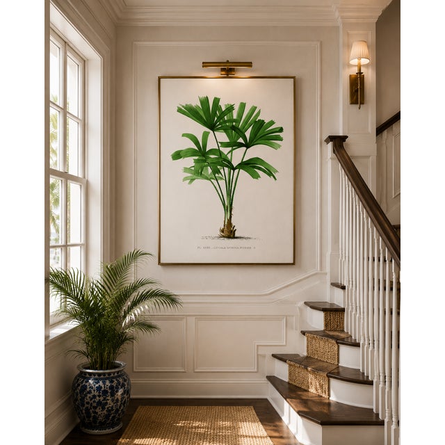 Royal Palm Study, Vintage Botanical Art Print Reproduction, 20" X 30" For Sale In Buffalo - Image 6 of 11