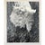 1940s Paul Dunckhorst "Oscar" Original Black & White Photograph c.1943 – Exhibited at the Fourth Annual North American Salon For Sale - Image 5 of 7