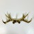 Rustic Vintage Rustic Adirondack Arts & Crafts Faux Antler Wall Mounted Hooks. For Sale - Image 3 of 11
