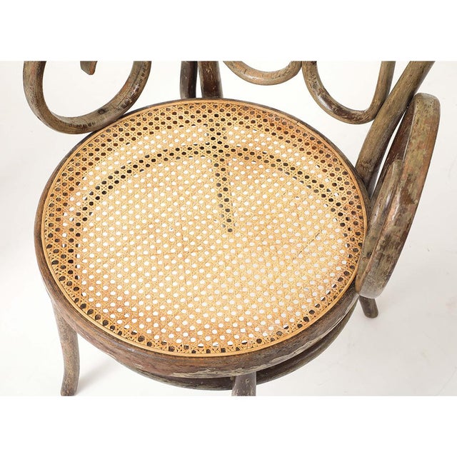 Set of 4 Vintage Bentwood Chairs For Sale In New York - Image 6 of 16