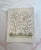 Storybook Pair of Whimsical Botanical & Garden Prints For Sale - Image 9 of 9