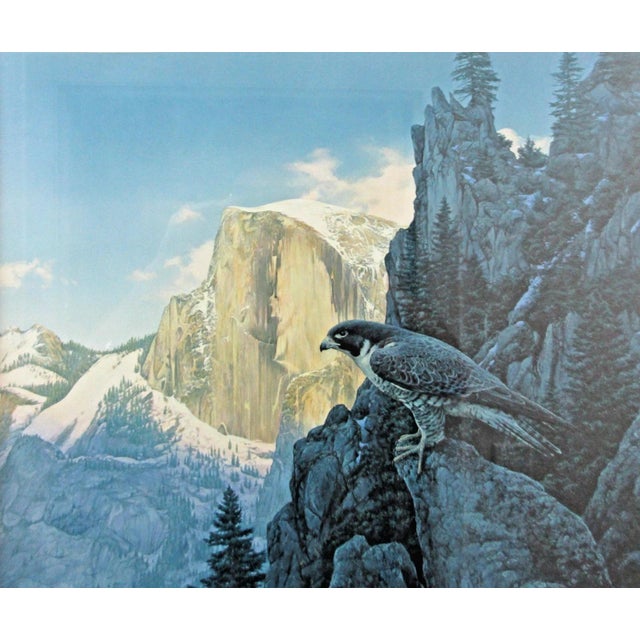 1990s Stephen Lyman Return of the Falcon Limited Edition Print Framed Signed 1205/1500 For Sale - Image 4 of 12