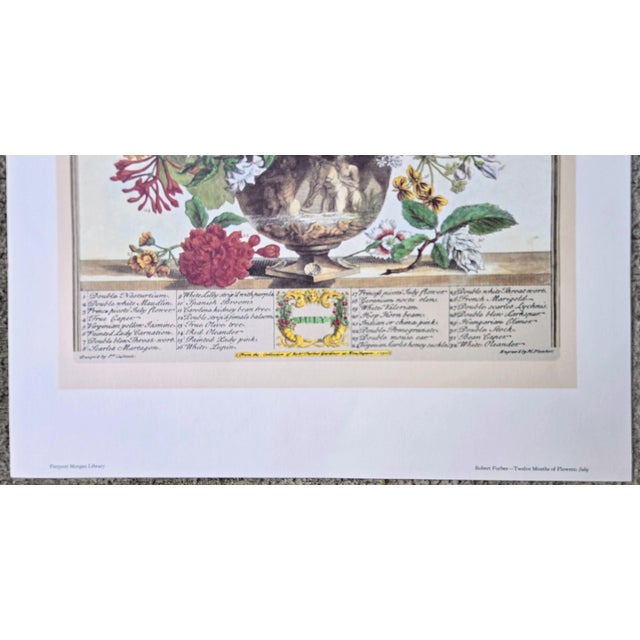 1980s Vintage Robert Furber July Botanical From "Twelve Months of Flowers” Pierpont Morgan Library Print For Sale In Denver - Image 6 of 12