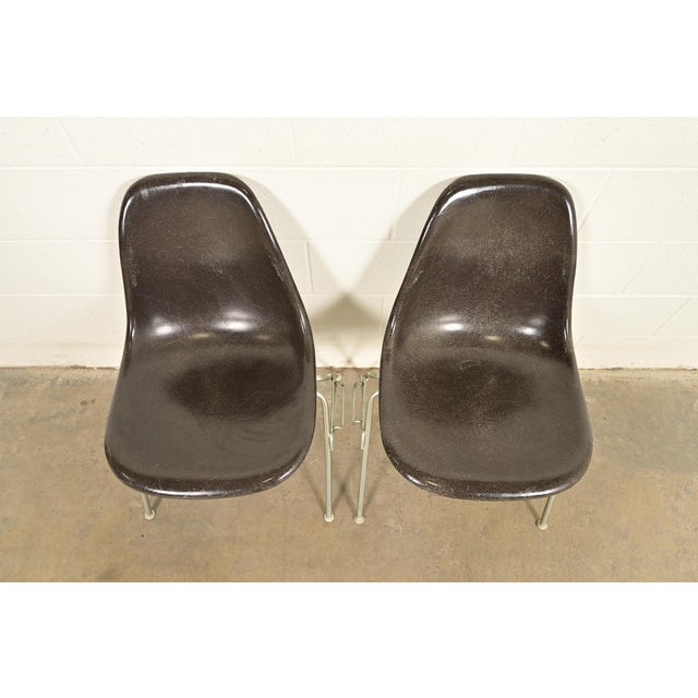 1980s Charles & Ray Eames for Herman Miller DSS Seal Brown Stacking Shell Chairs | Pair For Sale - Image 5 of 17