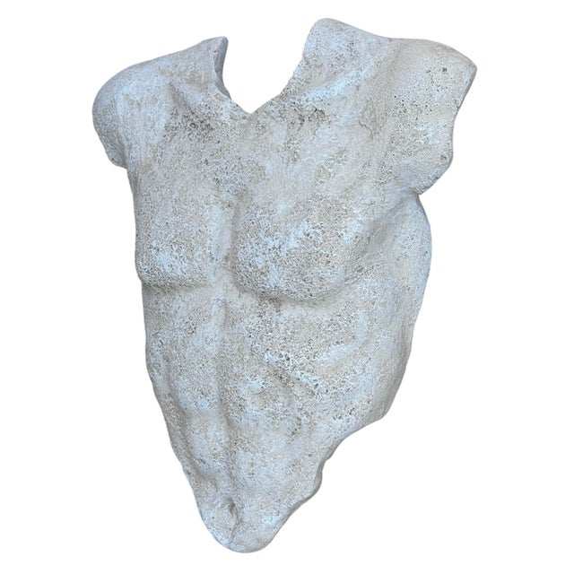 Grand Tour Mid 20th Century Sculpture of Male Torso Wall Hanging For Sale - Image 3 of 5