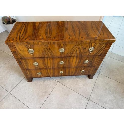 Biedermeier Chest of Drawers in Walnut For Sale - Image 13 of 15