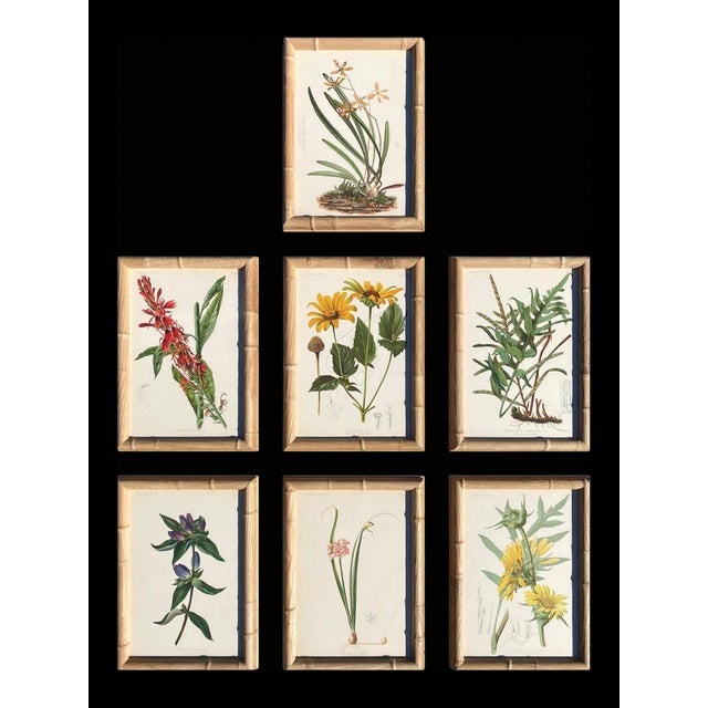 By the late 1870s Louis Prang’s Boston studio was the envy of the printing world — producing color plates so refined that...