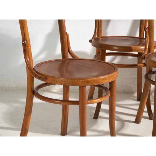 Antique set of 4 viennese café bentwood chairs with decorative back panel, central european furniture from the vienna...