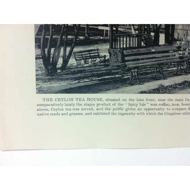 1893 "The Ceylon Tea House" Chicago World's Fair Print Circa 1900