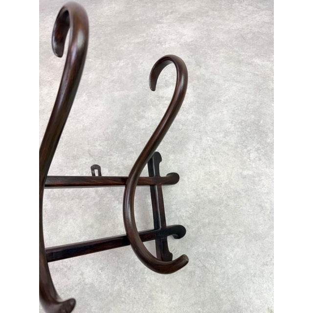 19th Century Antique Bentwood No. 1 Wall-Mounted Coat Rack from Gebrüder Thonet, 1890s For Sale - Image 5 of 8